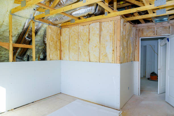 Best Eco-Friendly Insulation in Golf Manor, OH