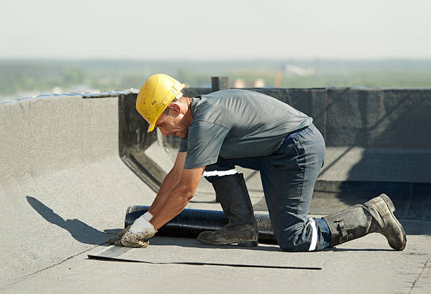 Best Cellulose Insulation in Golf Manor, OH